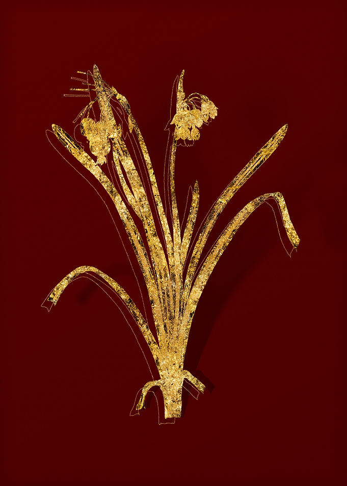 Gold Flora on Red
