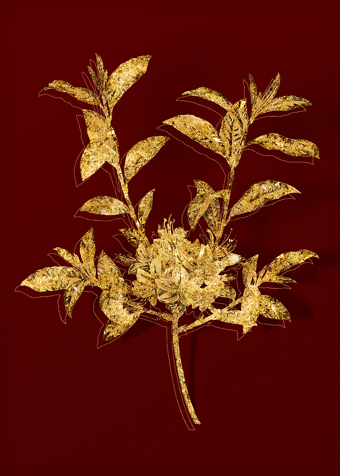 Gold Botanical on Red
