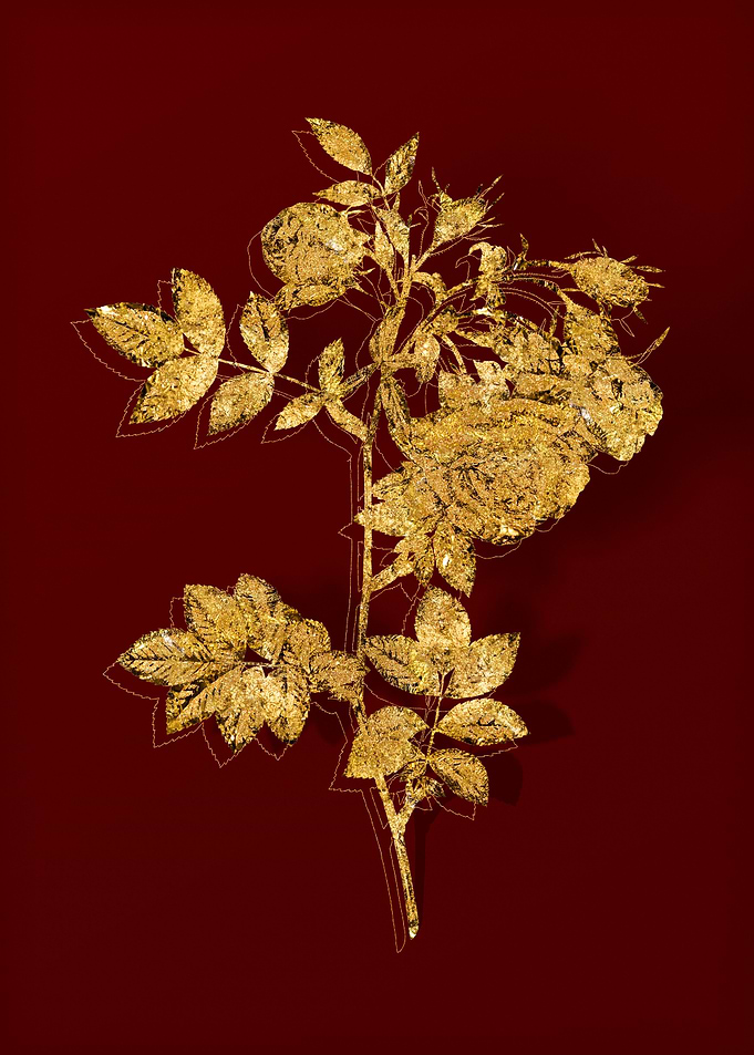 Gold Botanical on Red