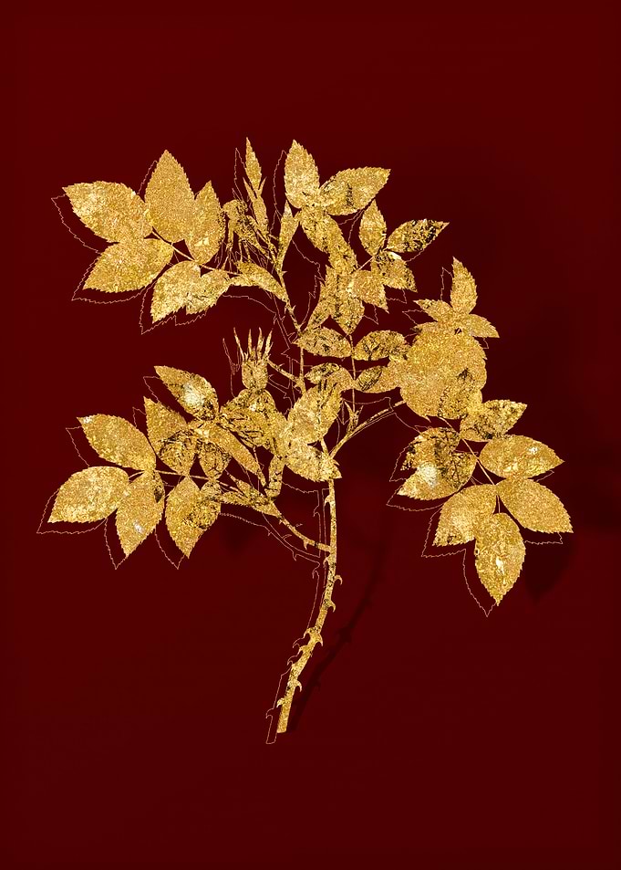 Gold Flora on Red