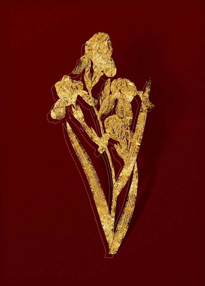 Gold Floral on Red