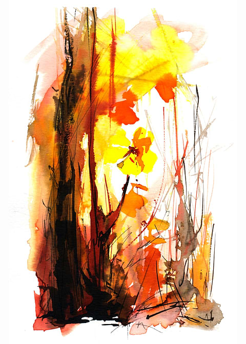 Orange Savannah