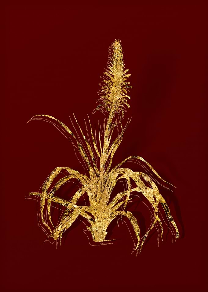 Gold Flora on Red
