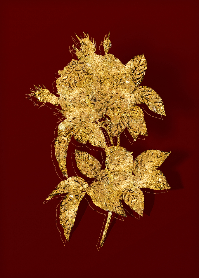 Gold Botanical on Red