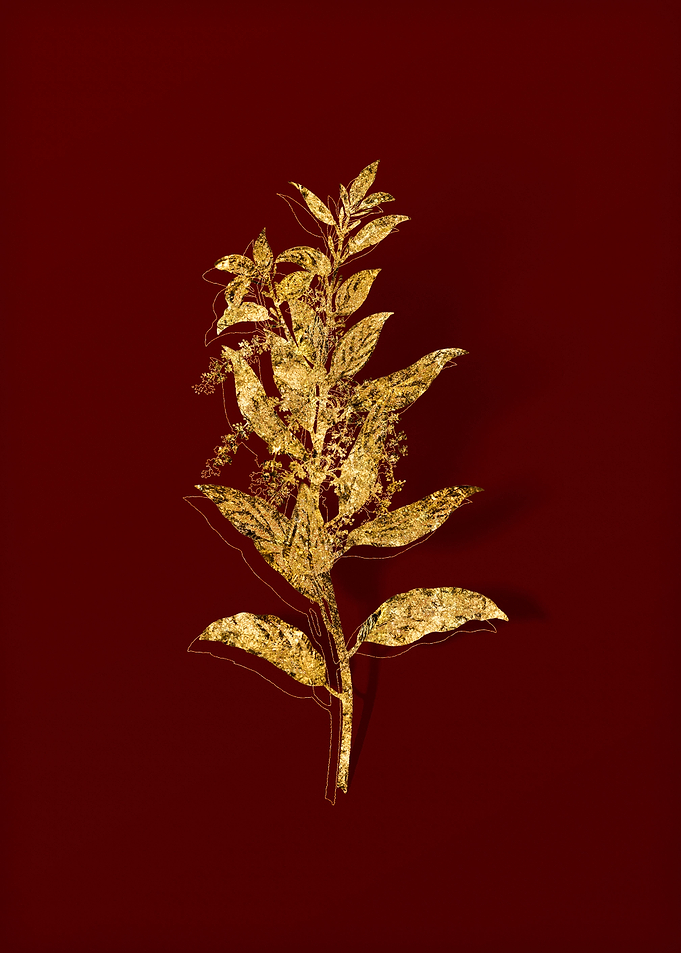 Gold Flora on Red