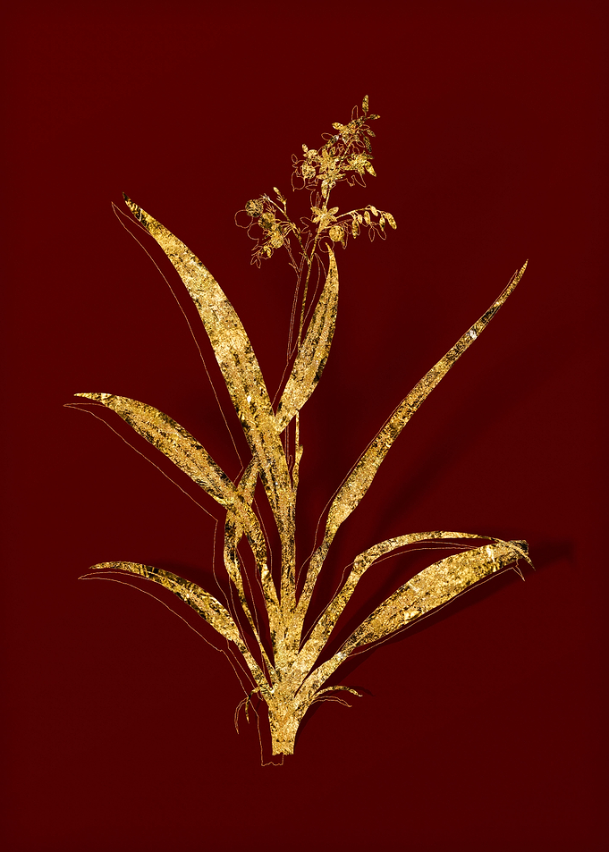 Gold Floral on Red