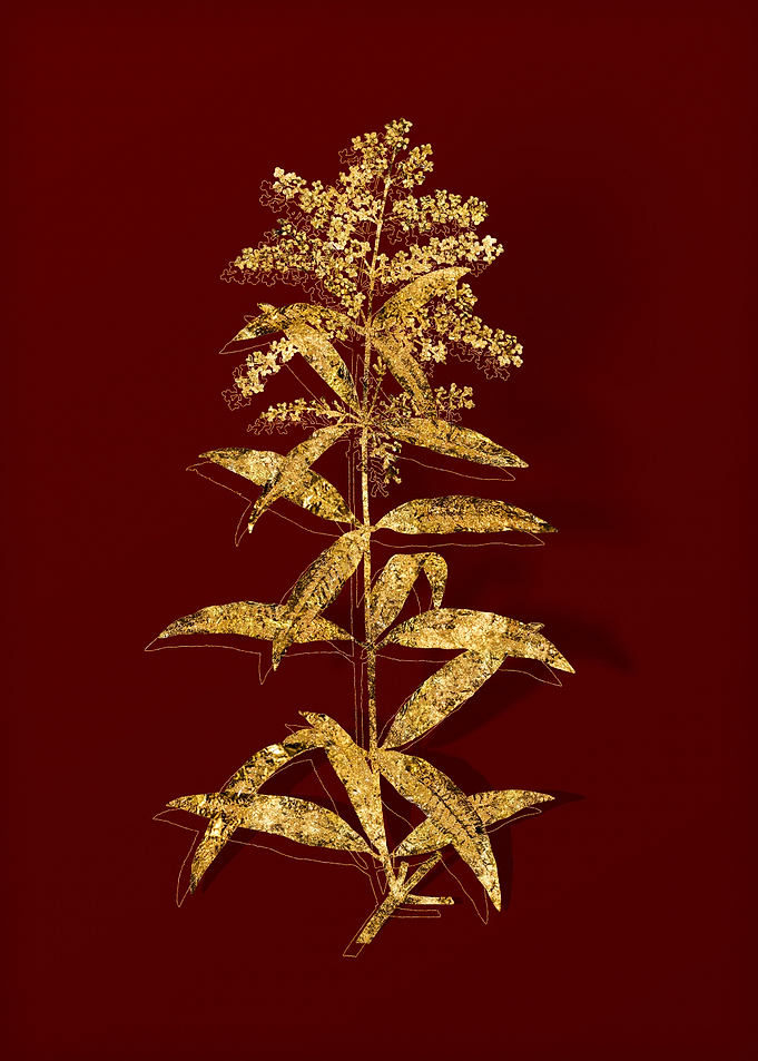Gold Flora on Red