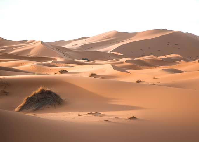 Sahara Desert Morocco