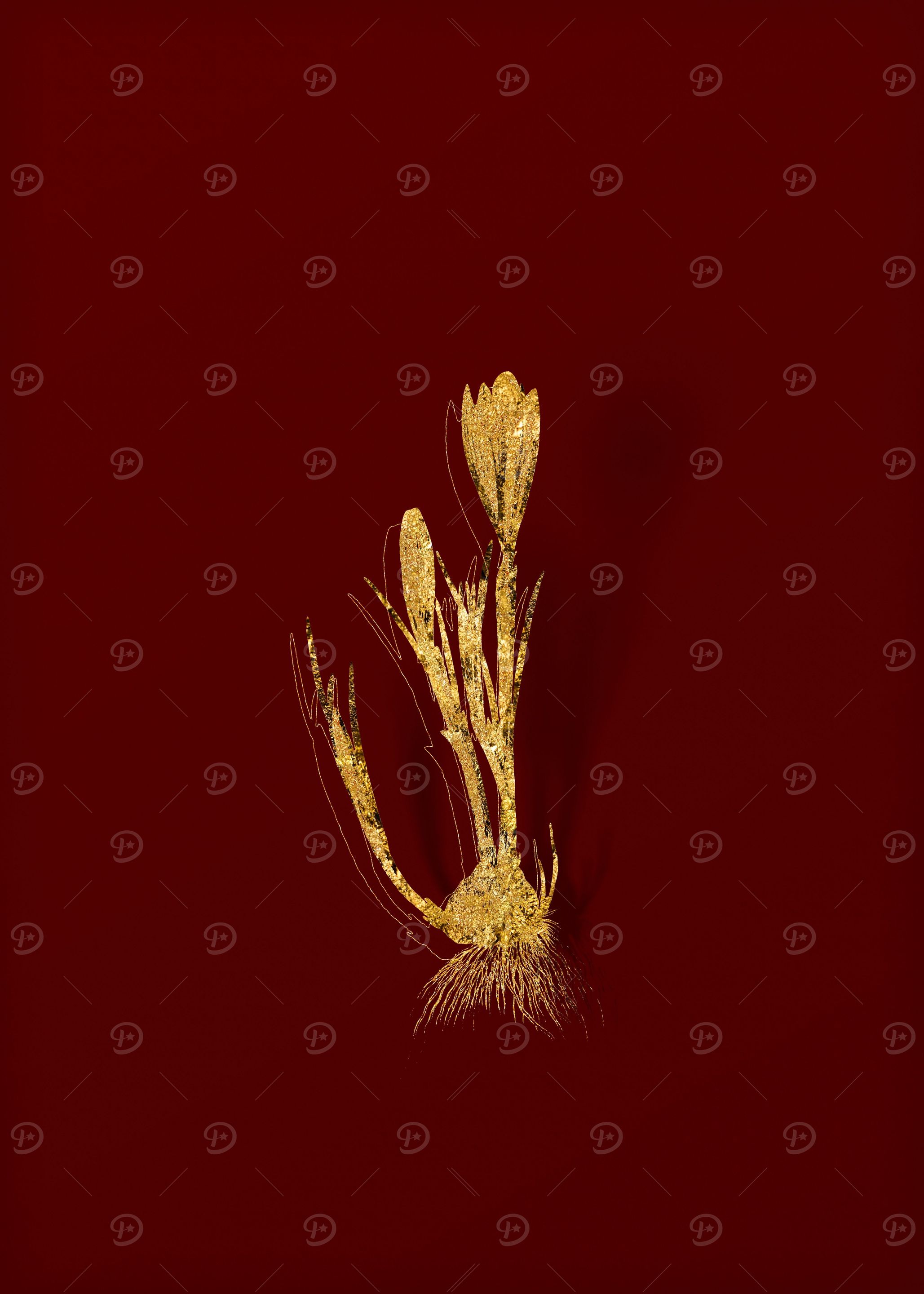 Gold Flora on Red