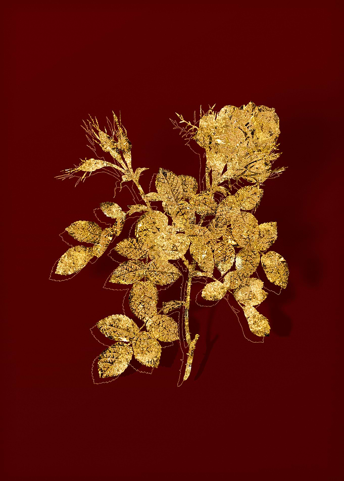 Gold Floral on Red