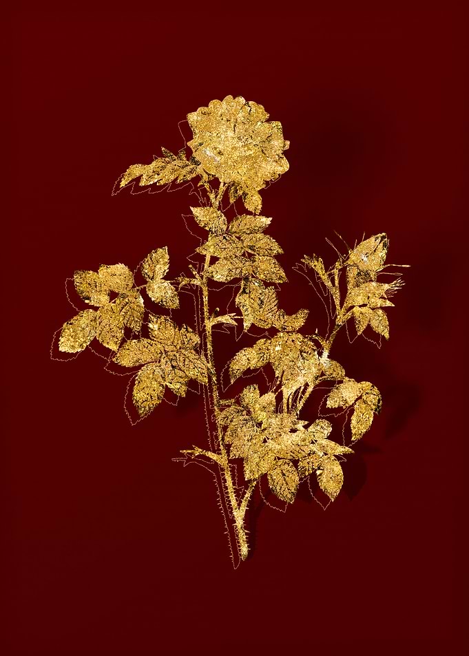 Gold Flower on Red