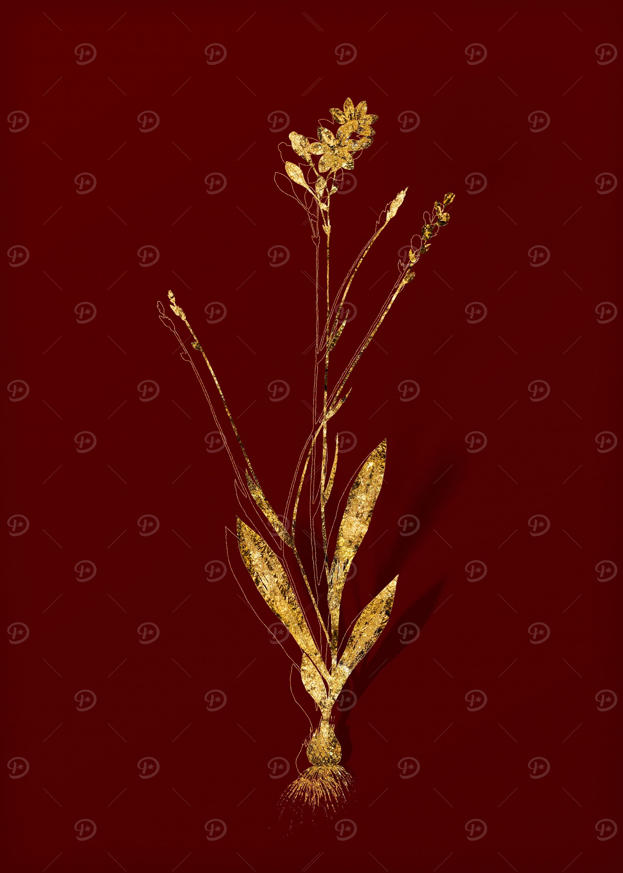 Gold Floral on Red
