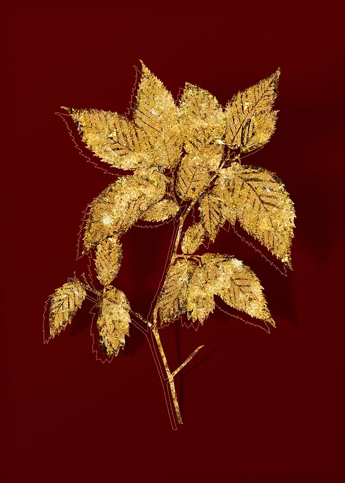 Gold Botanical on Red