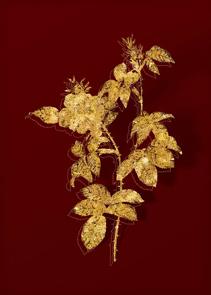 Gold Flora on Red