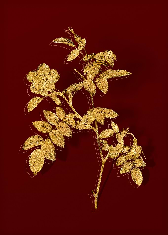 Gold Flora on Red