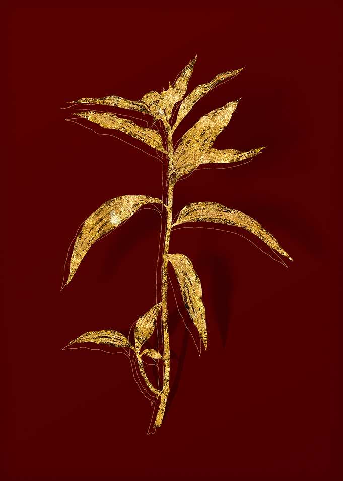 Gold Floral on Red