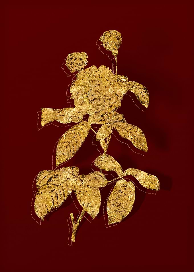 Gold Flora on Red