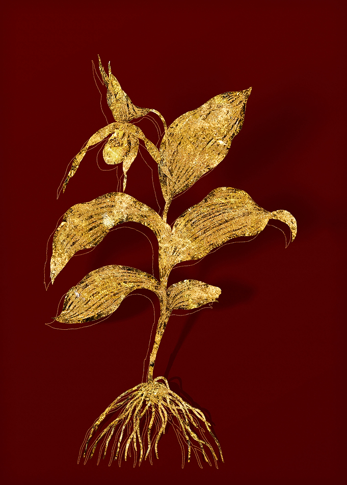 Gold Flower on Red