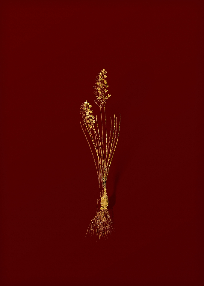 Gold Flora on Red