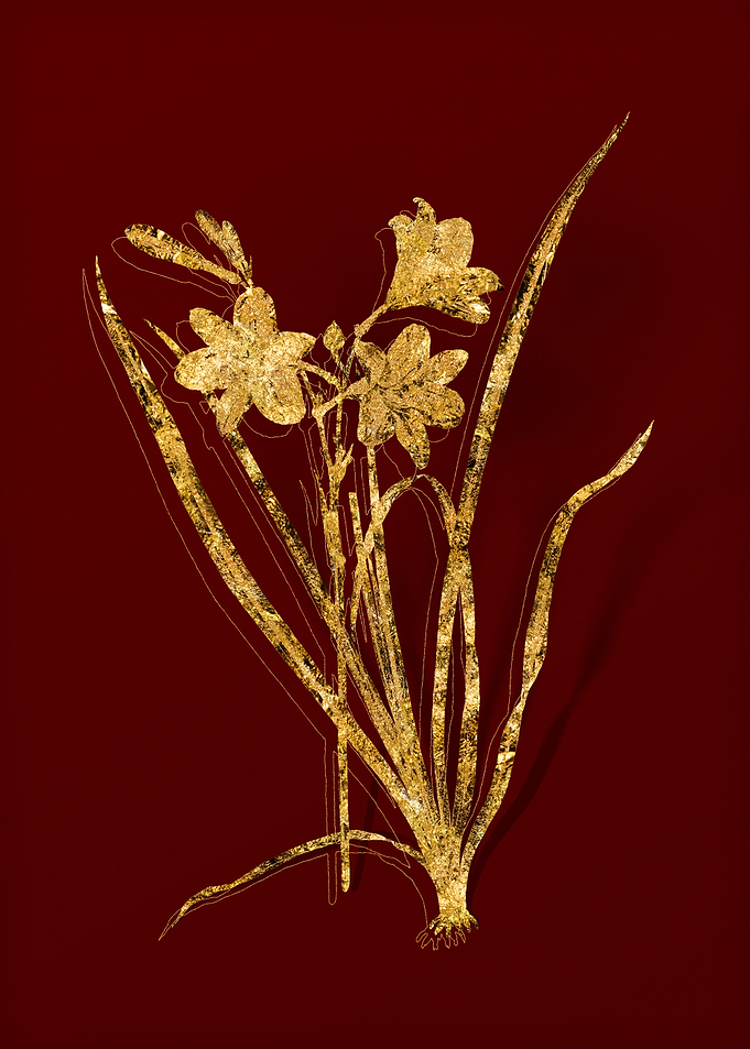 Gold Floral on Red