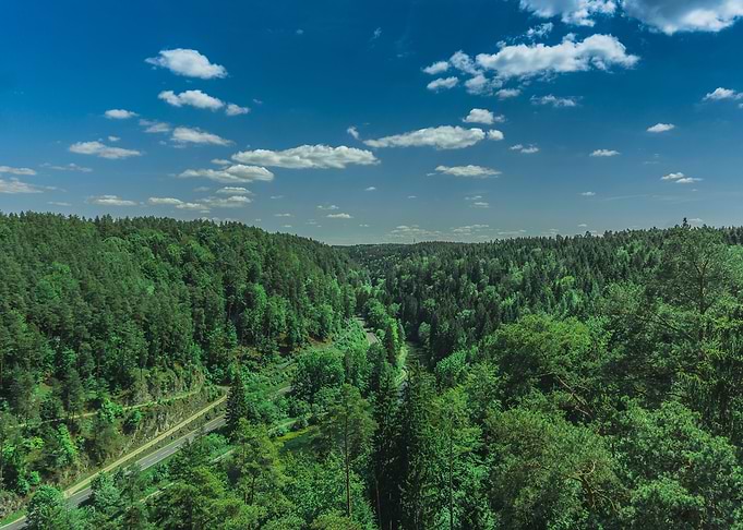 Birdview