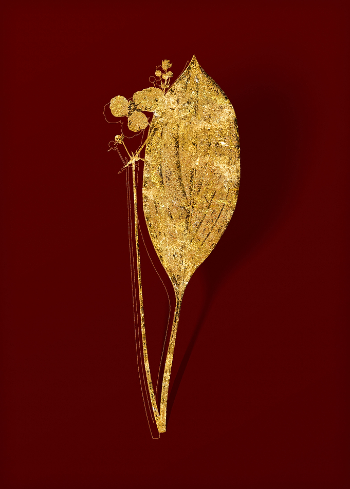 Gold Flower on Red