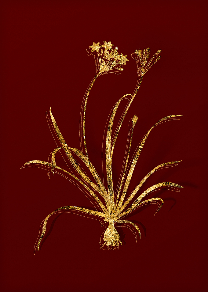 Gold Flora on Red