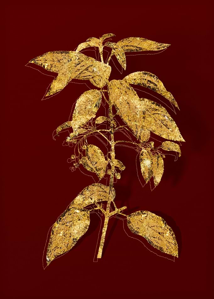 Gold Botanical on Red