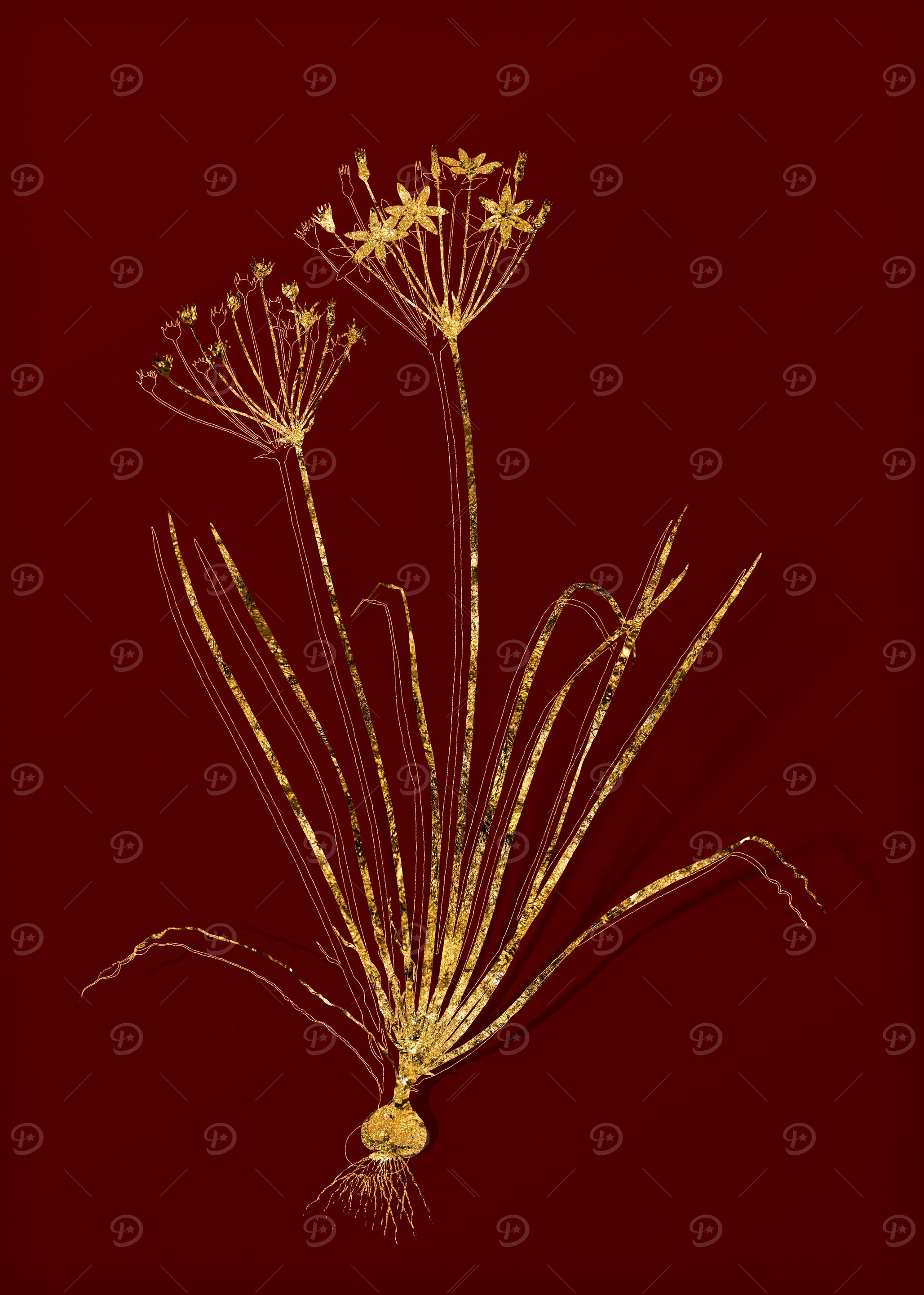 Gold Flora on Red