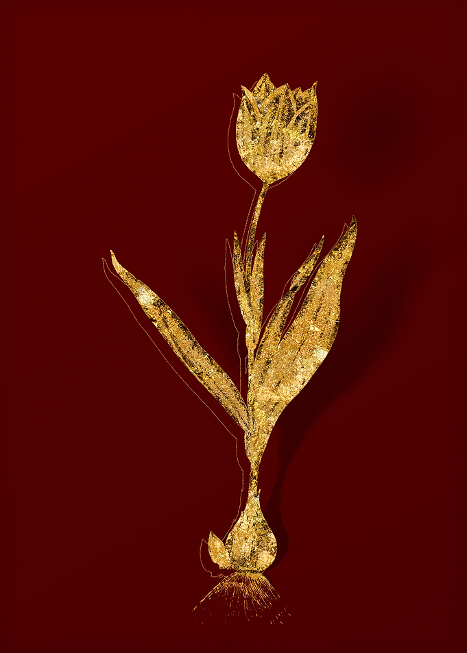 Gold Flora on Red