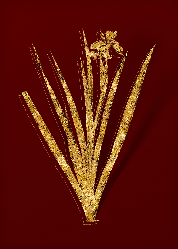 Gold Flora on Red