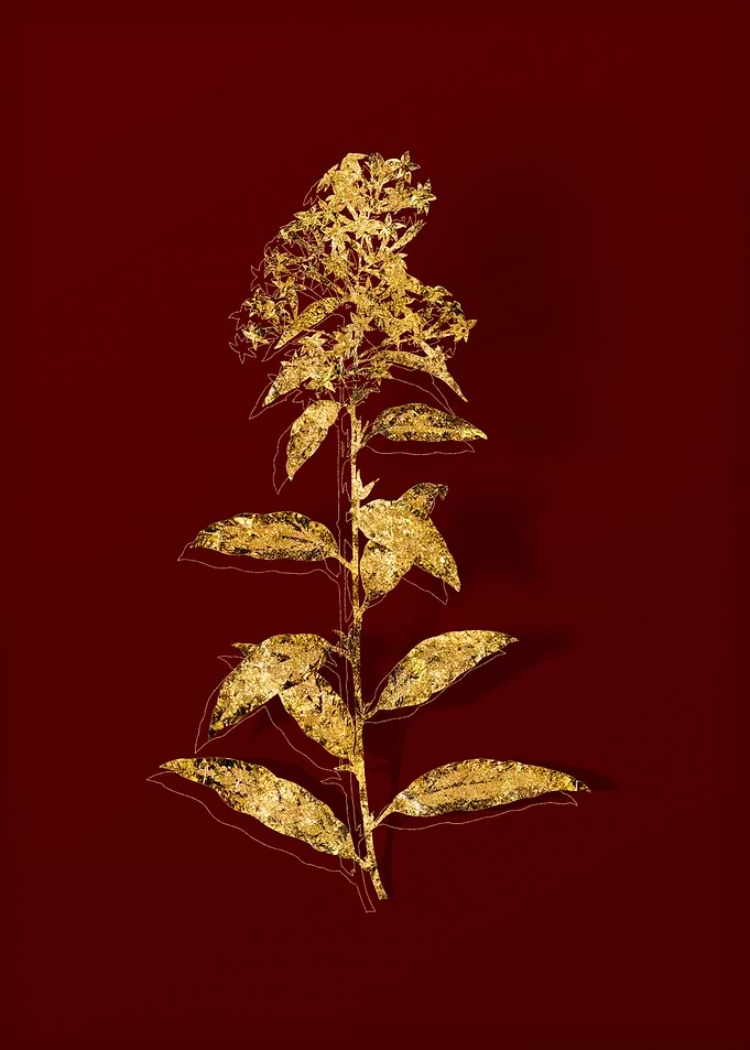 Gold Flora on Red