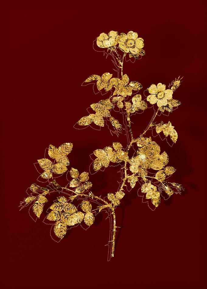 Gold Botanical on Red