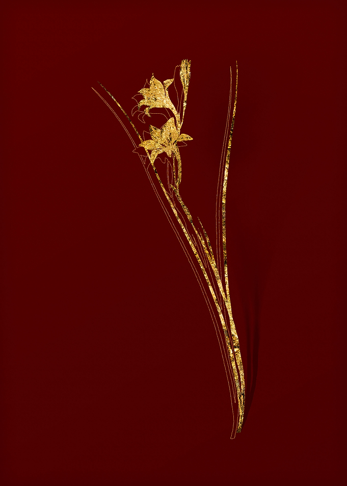 Gold Floral on Red