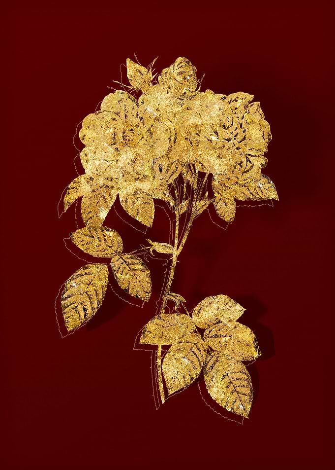 Gold Botanical on Red
