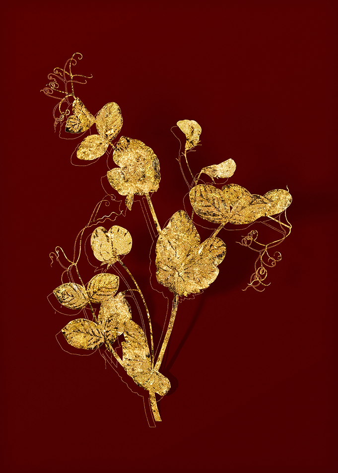 Gold Botanical on Red