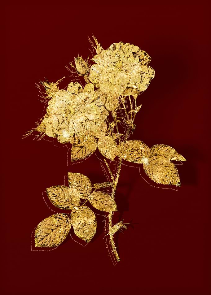 Gold Botanical on Red