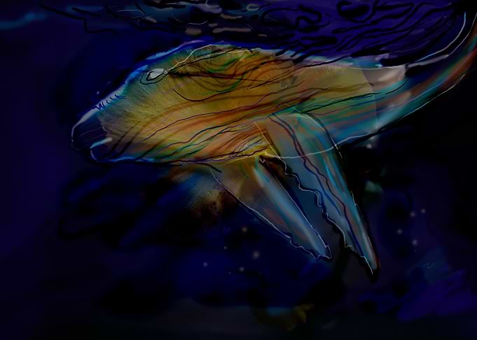 Whale in sea