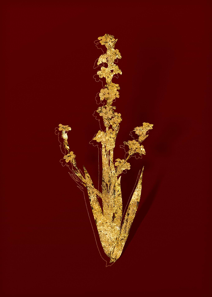 Gold Flora on Red