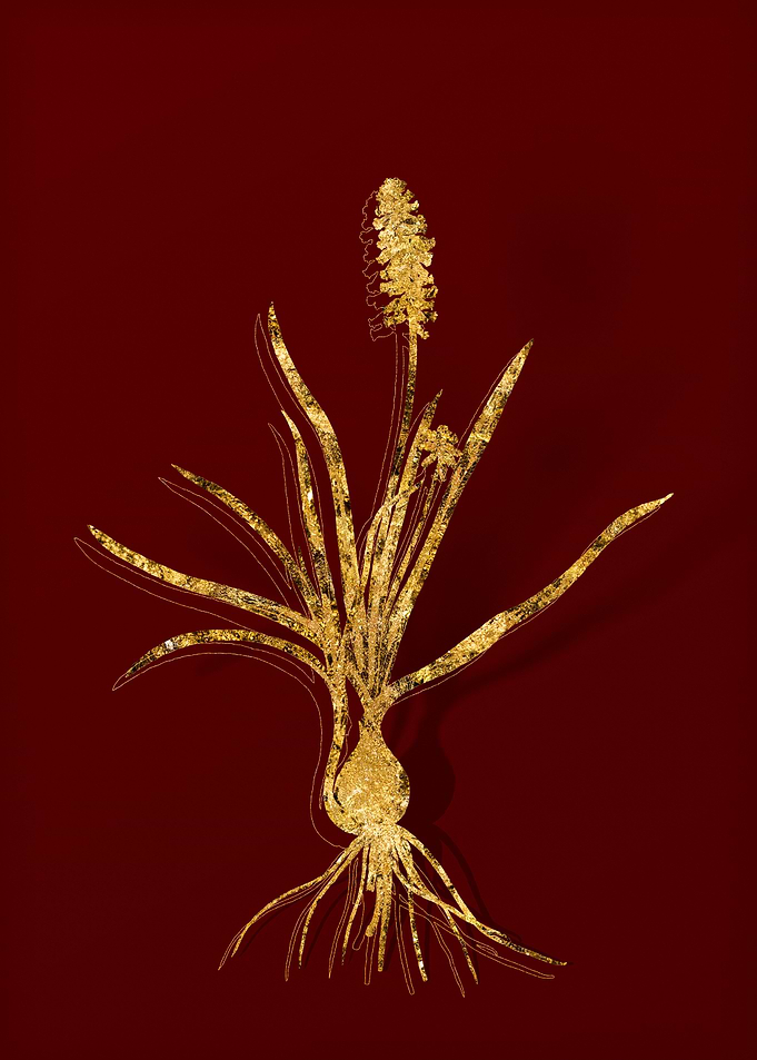 Gold Flora on Red