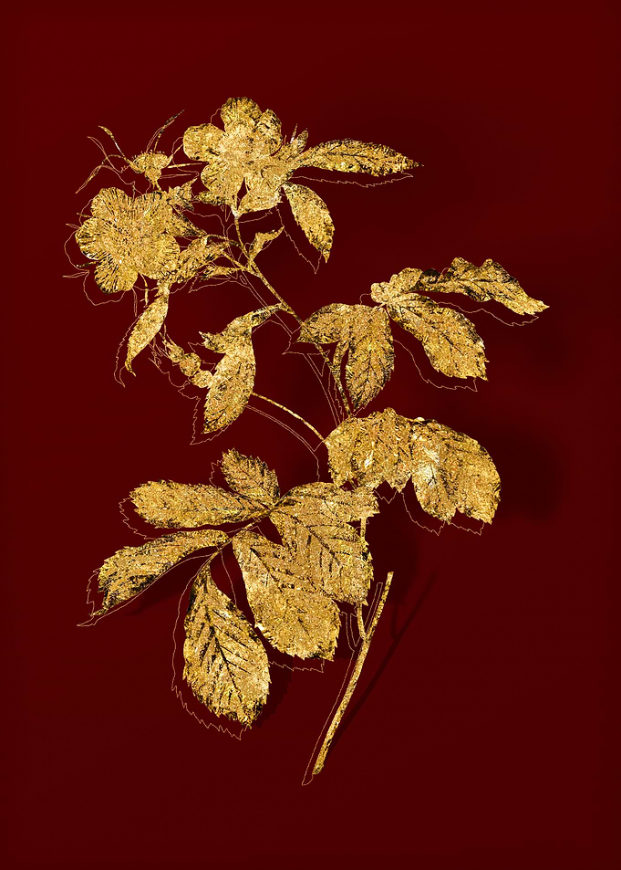 Gold Flora on Red
