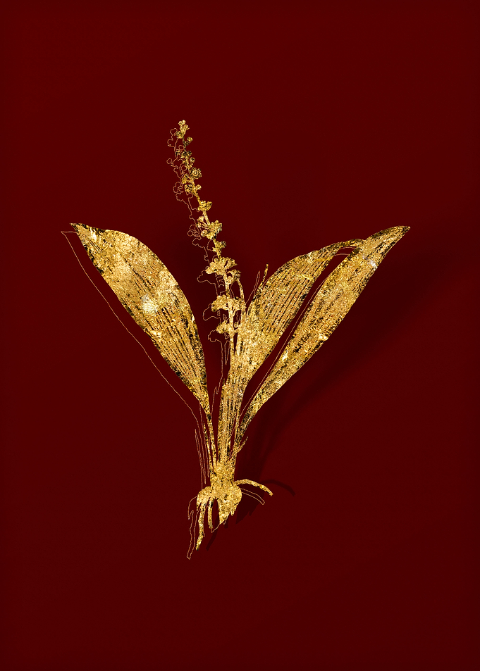 Gold Flora on Red