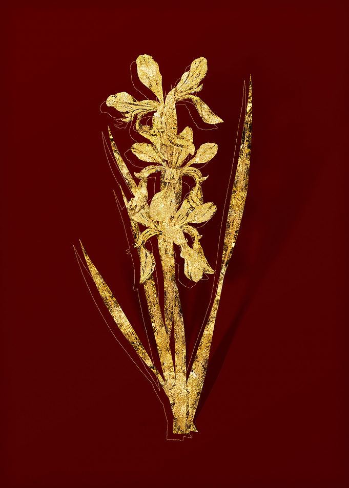 Gold Flower on Red