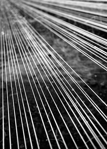 Fishing lines