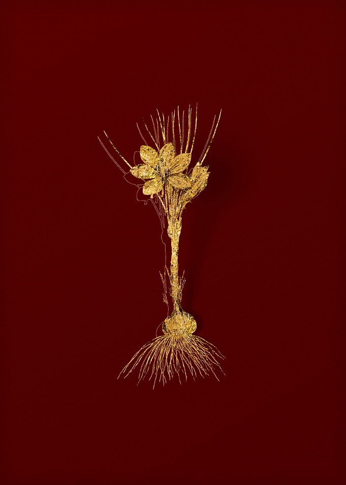 Gold Floral on Red