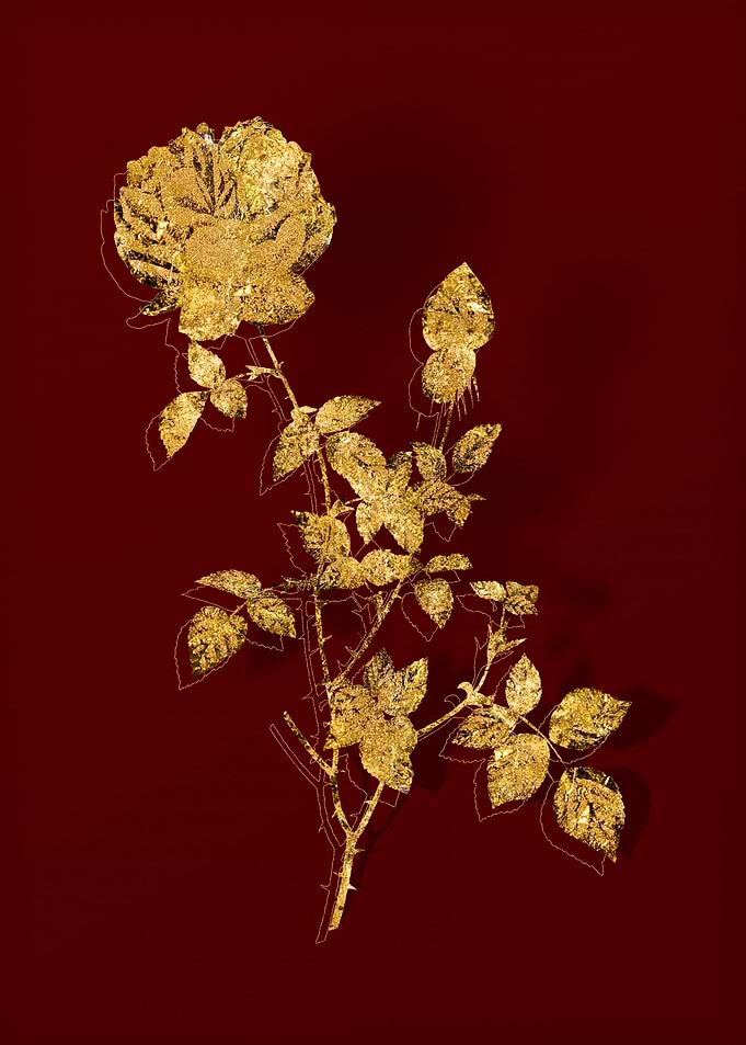Gold Flora on Red