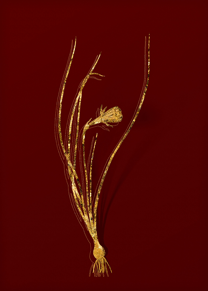 Gold Floral on Red