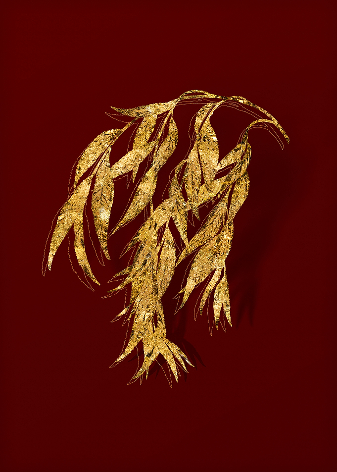 Gold Botanical on Red