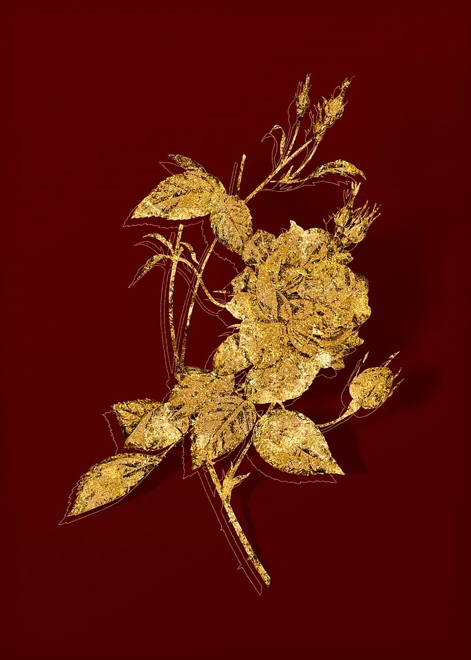 Gold Flora on Red