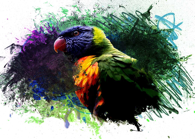 Loriini Parrot